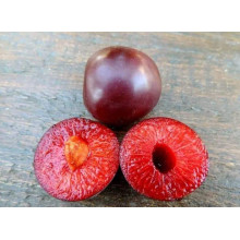 Слива диплоїдна Старкінг Делішес (середня) | Prunus Starking Delicious (middle) | Слива диплоидная Старкинг Делишес (средняя)
