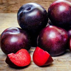 Плуот ‘Черрікос’ (гібрид абрикоса і аличі)|Pluot ‘Cherricos’|Плуот ‘Черрикос’ (гибрид абрикоса и алычи)