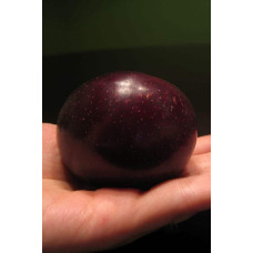 Плумкот Кінг-Конг (середня) | Plumcot King-Kong (middle) | Плумкот Кинг-Конг (средняя)