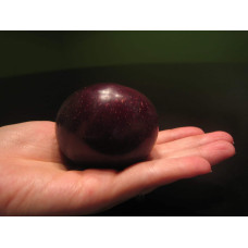 Плумкот Кінг-Конг (середня) | Plumcot King-Kong (middle) | Плумкот Кинг-Конг (средняя)