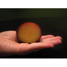 Плумкот Кінг-Конг (середня) | Plumcot King-Kong (middle) | Плумкот Кинг-Конг (средняя)