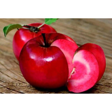 Яблуня червоном’яса Редлав Одіссо | Malus domestica Redlove Odysso | Яблоня красномясая Редлав Одиссо