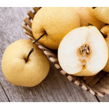 Груша азійська ‘Коко Суї’|Pyrus pyrifolia ‘Koko Sui’|Груша азиатская ‘Коко Суи’