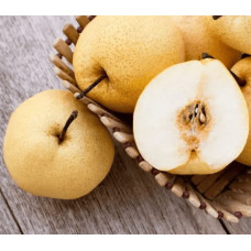 Груша азійська ‘Коко Суї’|Pyrus pyrifolia ‘Koko Sui’|Груша азиатская ‘Коко Суи’