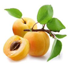 Абрикос ананасовий ‘Дарій’|Prunus armeniaca ‘Darii’|Абрикос ананасовый ‘Дарий’