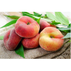 Персик інжирний ‘Світ Кап’|Prunus persica ‘Sweet Cap’|Персик инжирный ‘Свит Кап’