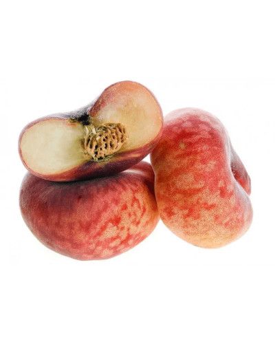 Персик інжирний ‘Нікітський’|Prunus persica var. platycarpa ‘Nikitskiy’|Персик инжирный ‘Никитский’