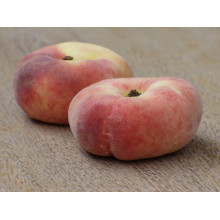 Персик інжирний ‘Нікітський’|Prunus persica var. platycarpa ‘Nikitskiy’|Персик инжирный ‘Никитский’