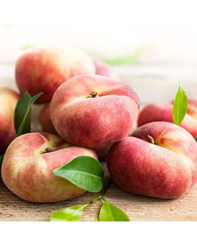 Персик інжирний ‘Нікітський’|Prunus persica var. platycarpa ‘Nikitskiy’|Персик инжирный ‘Никитский’