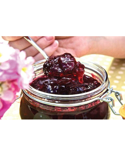 Вишня домашня Чудо-вишня / Чере-вишня (середня) | Prunus cerasus Cherry Miracle| Вишня домашняя Чудо-вишня / Чере-вишня (средняя)