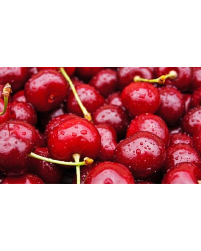 Вишня домашня Чудо-вишня / Чере-вишня (середня) | Prunus cerasus Cherry Miracle| Вишня домашняя Чудо-вишня / Чере-вишня (средняя)