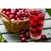 Вишня домашня Зустріч | Prunus cerasus Zustrich | Вишня домашняя Встреча