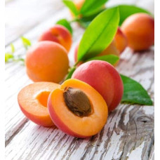 Абрикос Червонощокий (ранній) | Абрикос Краснощекий (ранний) | Prunus armeniaca Сheeked