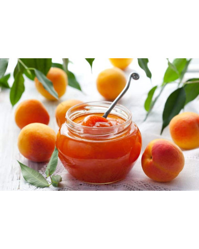 Абрикос Красень Києва (пізній) | Абрикос Красень Киева (поздний) | Prunus armeniaca Krasen Kieva