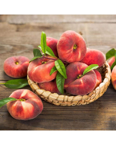 Персик інжирний Сатурн (середній) | Prunus persica Saturn | Персик инжирный Сатурн (средний)