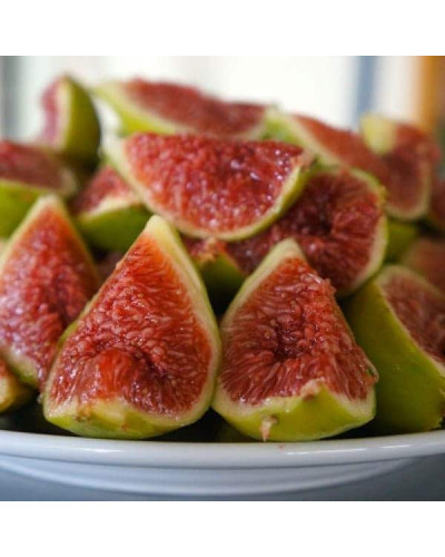 Інжир ремонтантний Адріатичний | Ficus carica Adriatic | Инжир ремонтантный Адриатический