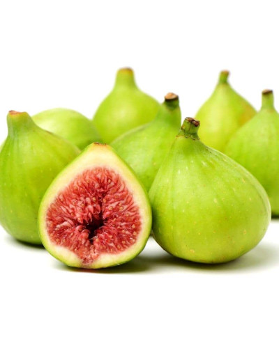 Інжир ремонтантний Адріатичний | Ficus carica Adriatic | Инжир ремонтантный Адриатический