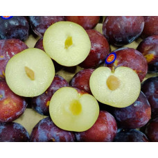 Слива Нектапріум (середня) | Prunus Nectarine Pruim (middle) | Слива Нектаприум (средняя)