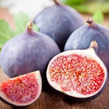 Інжир Київський великоплідний | Ficus carica | Инжир Киевский крупноплодный