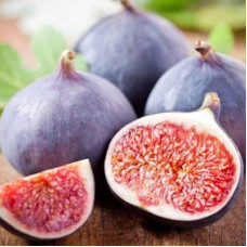 Інжир Київський великоплідний | Ficus carica | Инжир Киевский крупноплодный