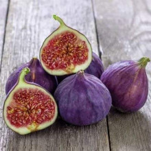 Інжир Texas Еверберінг | Ficus carica ‘Texas Everbearing’ | Инжир Texas Эверберинг