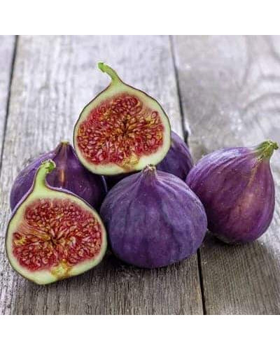 Інжир Texas Еверберінг | Ficus carica ‘Texas Everbearing’ | Инжир Texas Эверберинг