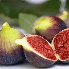 Інжир Texas Еверберінг | Ficus carica ‘Texas Everbearing’ | Инжир Texas Эверберинг