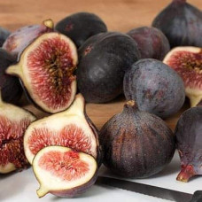 Інжир Texas Еверберінг | Ficus carica ‘Texas Everbearing’ | Инжир Texas Эверберинг