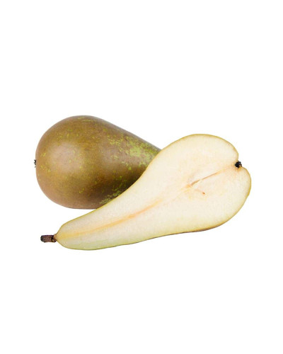 Груша звичайна Бере Боск | Pyrus communis Beurre Bosc | Груша обыкновенная Бере Боск