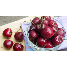 Вишня домашня Шпанка (рання) | Prunus cerasus Shpanka | Вишня домашняя Шпанка (ранняя)