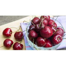 Вишня домашня Шпанка (рання) | Prunus cerasus Shpanka | Вишня домашняя Шпанка (ранняя)