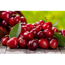 Вишня домашня Норд Стар (пізня) | Prunus cerasus North Star| Вишня домашняя Норд Стар (поздняя)