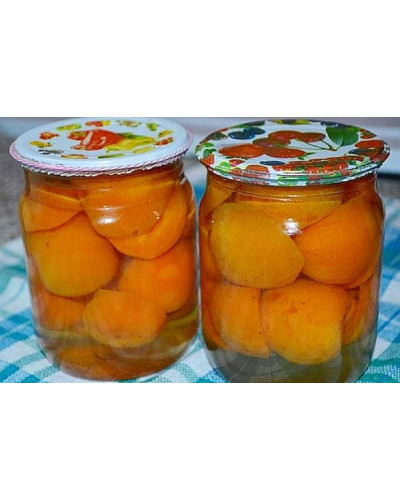 Абрикос Ювілейний / Золотий Ювілей (ранній) | Абрикос Юбилейный / Золотой Юбилей (ранний) | Prunus armeniaca Golden Jubilee
