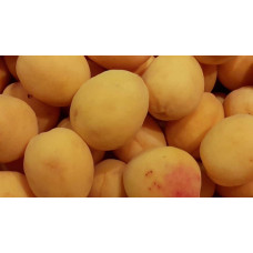 Абрикос Ананасовий Шалах | Абрикос Ананасный Шалах | Prunus armeniaca Pineapple Shalah