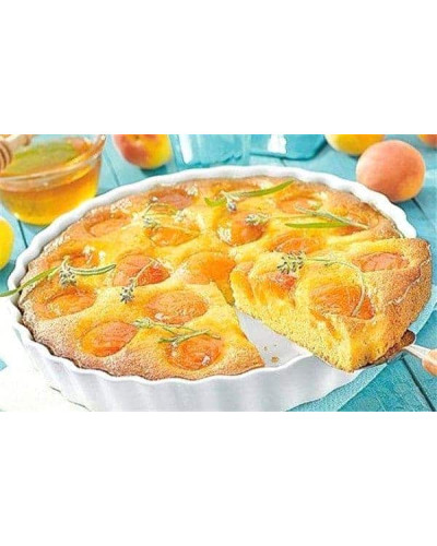 Абрикос Ананасовий Шалах | Абрикос Ананасный Шалах | Prunus armeniaca Pineapple Shalah