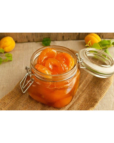 Абрикос Ананасовий Шалах | Абрикос Ананасный Шалах | Prunus armeniaca Pineapple Shalah