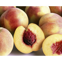 Персик домашній Київський Ранній | Персик домашний Киевский Ранний | Prunus persica Kievskiy Ranniy