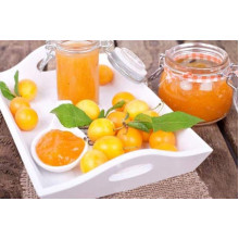 Слива Афаска | Prunus Afaska | Слива Афаска