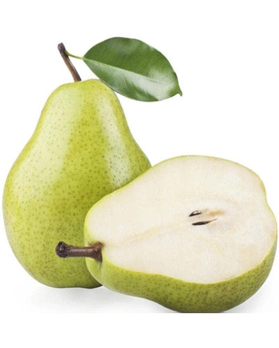 Груша колоновидна Сан Ремі / Санремі | Pyrus columnar San Remi / Sanremi | Груша колоновидная Сан Реми / Санреми
