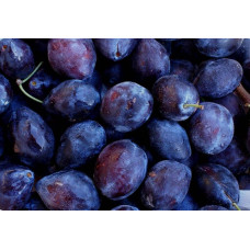 Слива домашня Стенлей (осіння) | Слива домашняя Стенлей (осенняя) | Prunus domestica Stanley