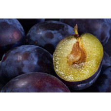 Слива домашня Ненька (середня) | Слива домашняя Нэнька (средняя) | Prunus domestica Nenka
