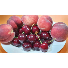 Черешня Стаккато (пізня) | Черешня Стаккато (поздняя) | Prunus avium Staccato