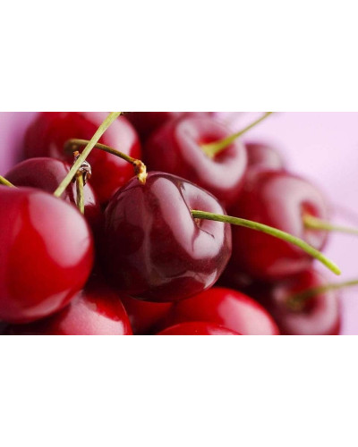 Черешня Ярославна (ранняя) | Черешня Ярославна (рання) | Prunus avium Yaroslavna