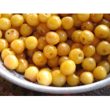 Черешня Жовточок | Черешня Желточек | Prunus avium Yolk