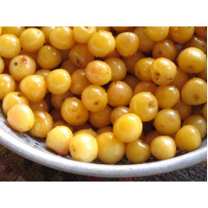 Черешня Жовточок | Черешня Желточек | Prunus avium Yolk