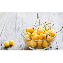 Черешня Жовточок | Черешня Желточек | Prunus avium Yolk