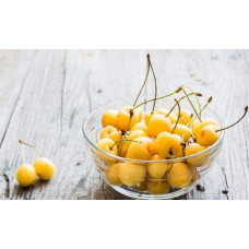 Черешня Жовточок | Черешня Желточек | Prunus avium Yolk