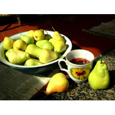 Груша звичайна Бере Арданпон | Pyrus communis Bere Ardanpon | Груша обыкновенная Бере Арданпон