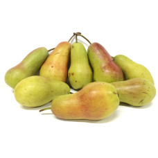 Груша звичайна Талгарська Красуня | Pyrus communis Talgarskaya Krasavitsa | Груша обыкновенная Талгарская Красавица