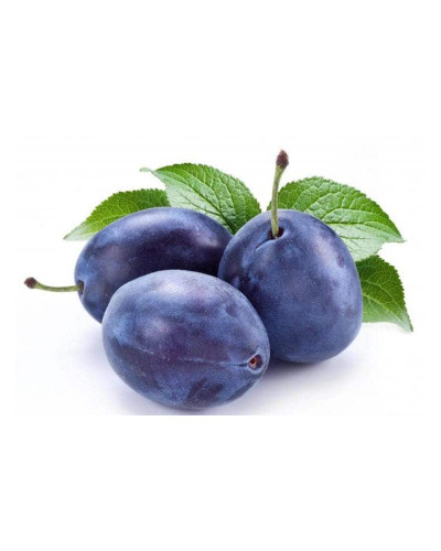 Слива домашня Чачакська пізня | Prunus domestica Chachak Later | Слива домашняя Чачакская поздняя